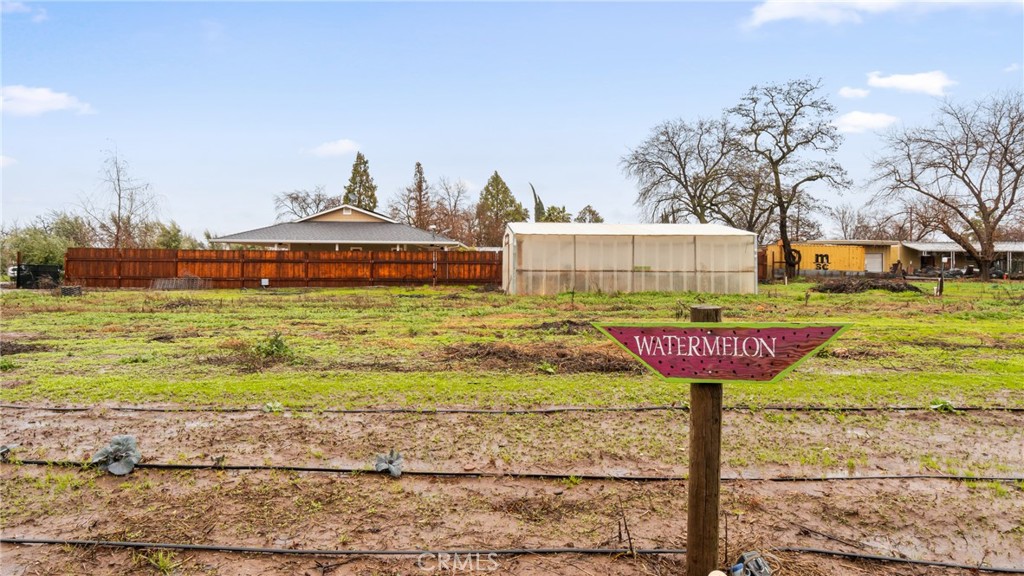 Garden plot with rows of plants, a greenhouse, and a WATERMELON sign.