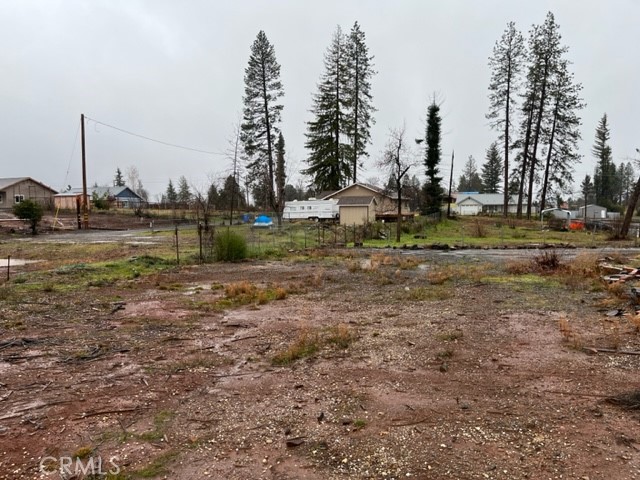Vacant lot with rough bare ground, tall pine trees, and neighboring homes.