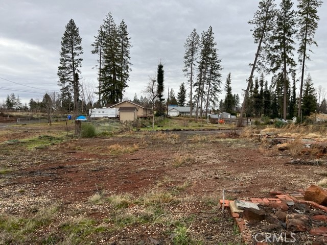 Mostly cleared residential lot with scattered debris and tall pine trees near neighboring homes.