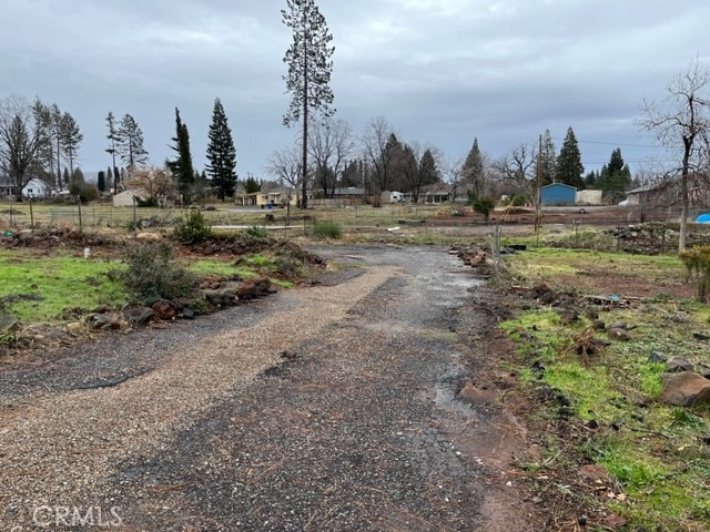 Open property with a gravel driveway, patchy grass, and leafless trees.