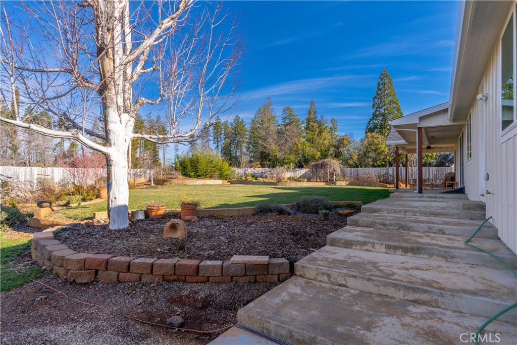 Backyard with a broad lawn, large leafless tree, curved brick edging, and concrete steps beside the house.