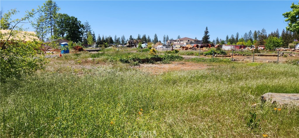 Grassy vacant lot with trees and distant buildings under a clear blue sky.