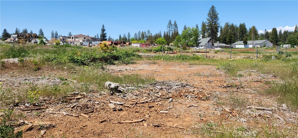 Vacant lot with cleared earth, scattered branches, grasses, and neighboring homes beyond.