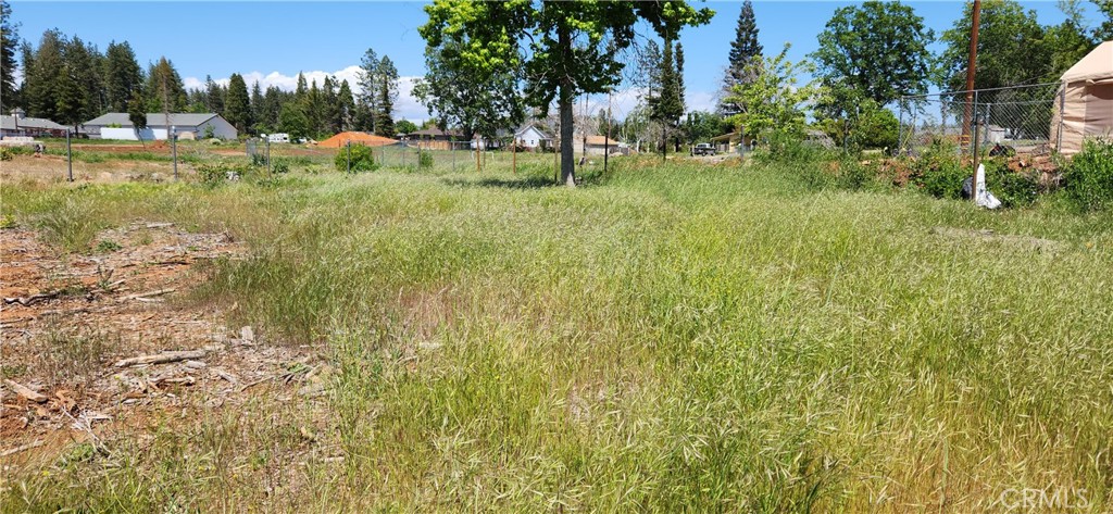 Grassy vacant lot with chain-link fencing, mature trees, and neighboring homes beyond.