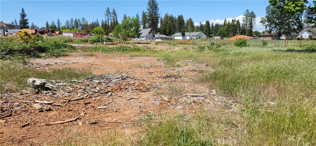 Vacant lot with dry earth, scattered branches, tall grass, and neighboring homes in the distance.