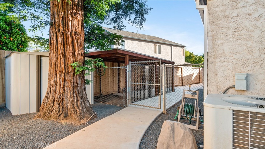 House side yard with a chain-link fence, covered patio, and large mature tree.
