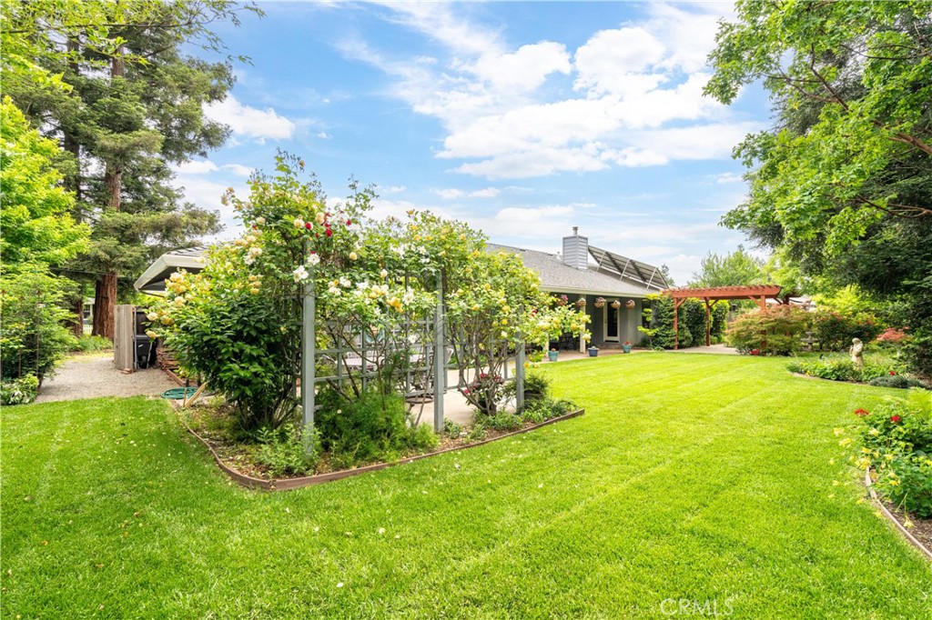Backyard with a broad green lawn, flowering garden trellis, and pergola beside the house.