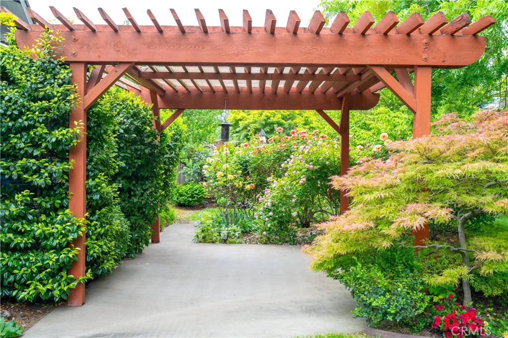 Garden walkway beneath a redwood pergola, surrounded by flowering roses and lush landscaping.