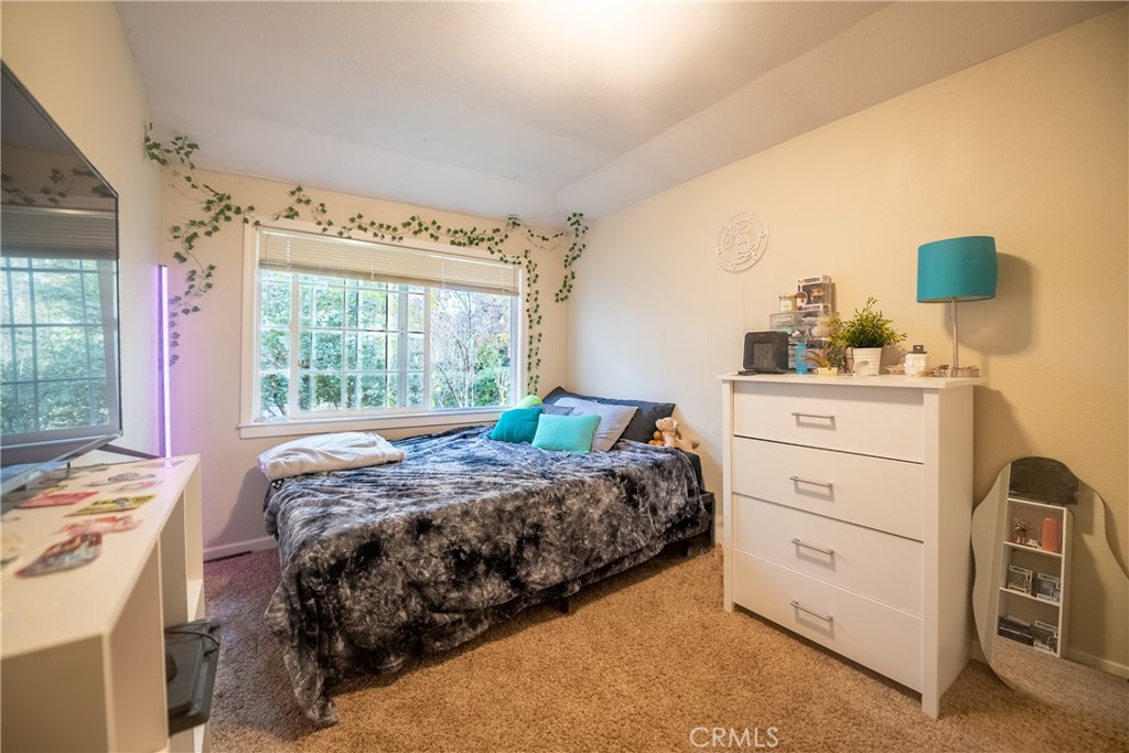 Bedroom with a large window, dark patterned bedding, white dresser, and tan carpet.