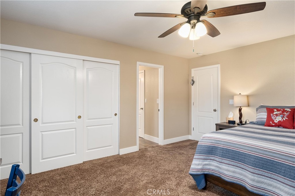 Bedroom with white closet doors, beige carpet, and a ceiling fan above a striped bed.