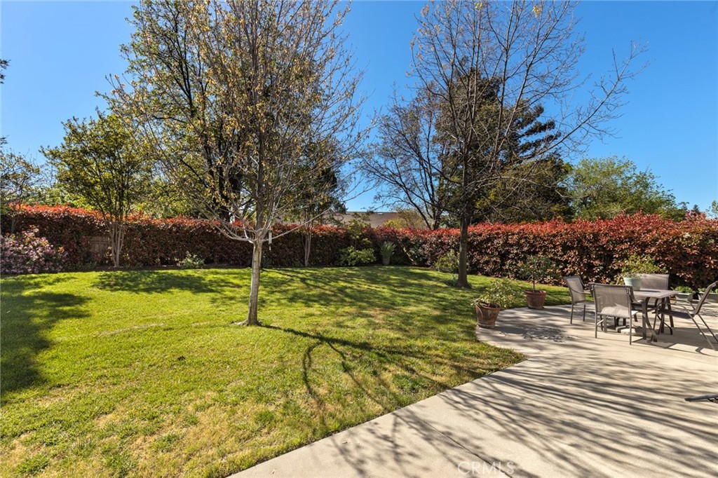 Backyard lawn and mature trees beside a concrete patio with outdoor dining furniture.