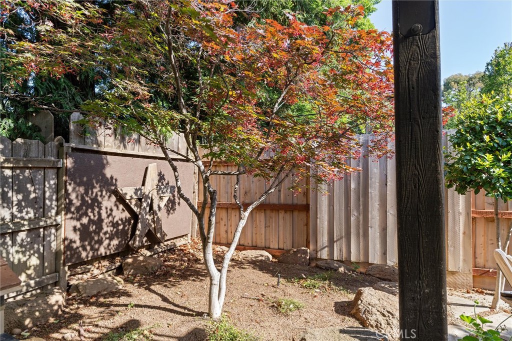 Fenced backyard with a red-orange Japanese maple and a large wooden star on the fence.