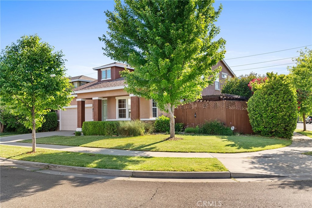3115 Tule River Way