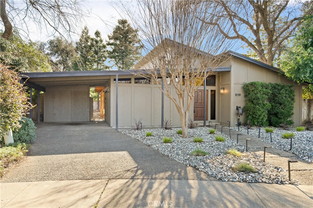 1019 Lori Drive