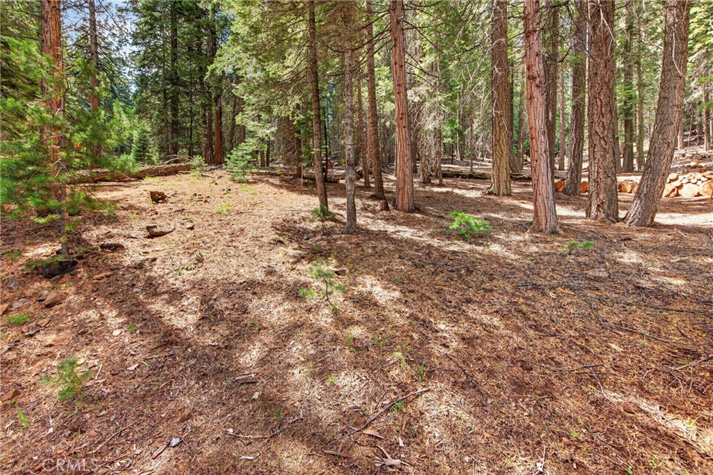 627 Cedar Canyon Road
