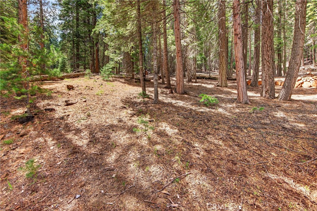 627 Cedar Canyon Road