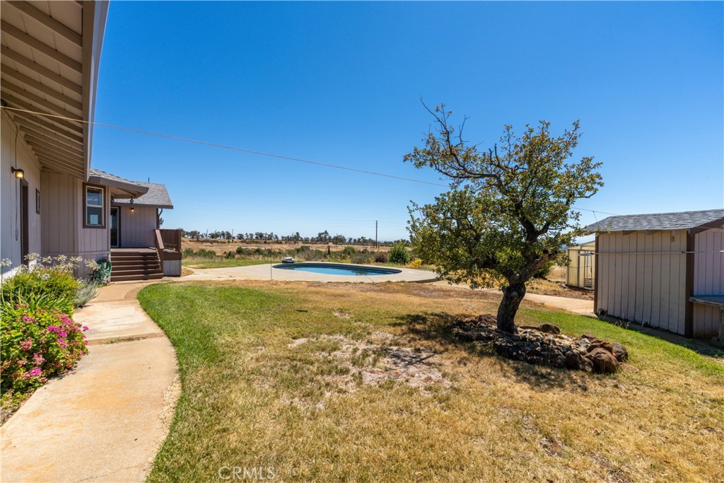 Backyard with an in-ground pool, curved walkway, mature tree, and detached shed.