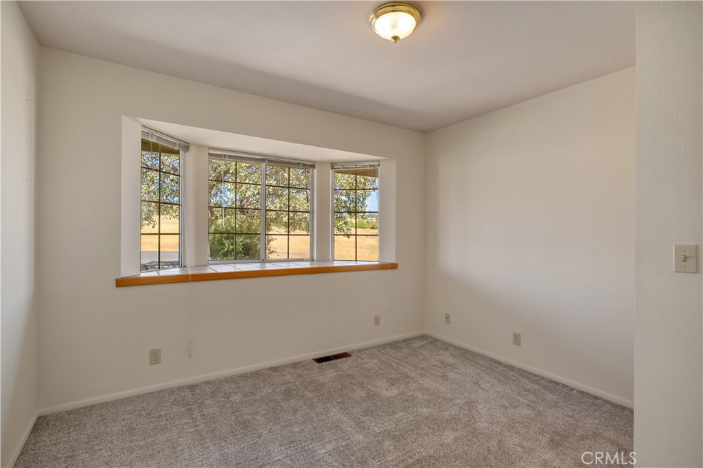 Unfurnished carpeted room with a wide bay window overlooking trees and a dry yard.