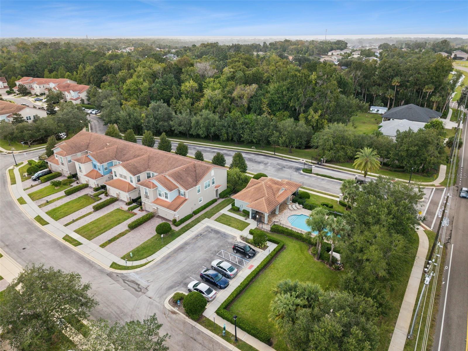 31 CANTERBURY BELL DR