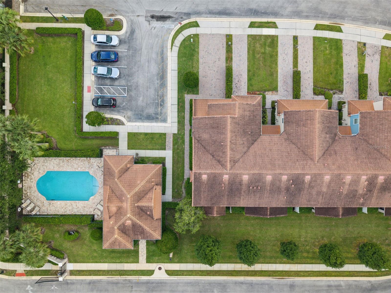 31 CANTERBURY BELL DR
