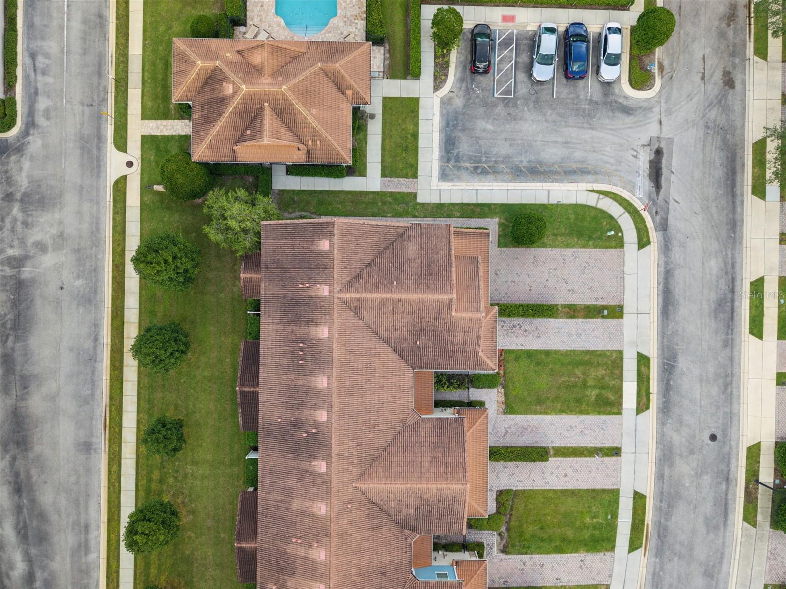 31 CANTERBURY BELL DR