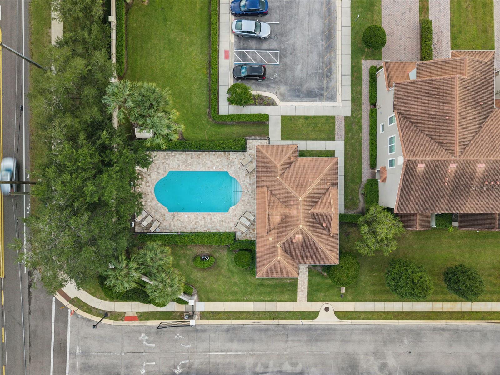31 CANTERBURY BELL DR