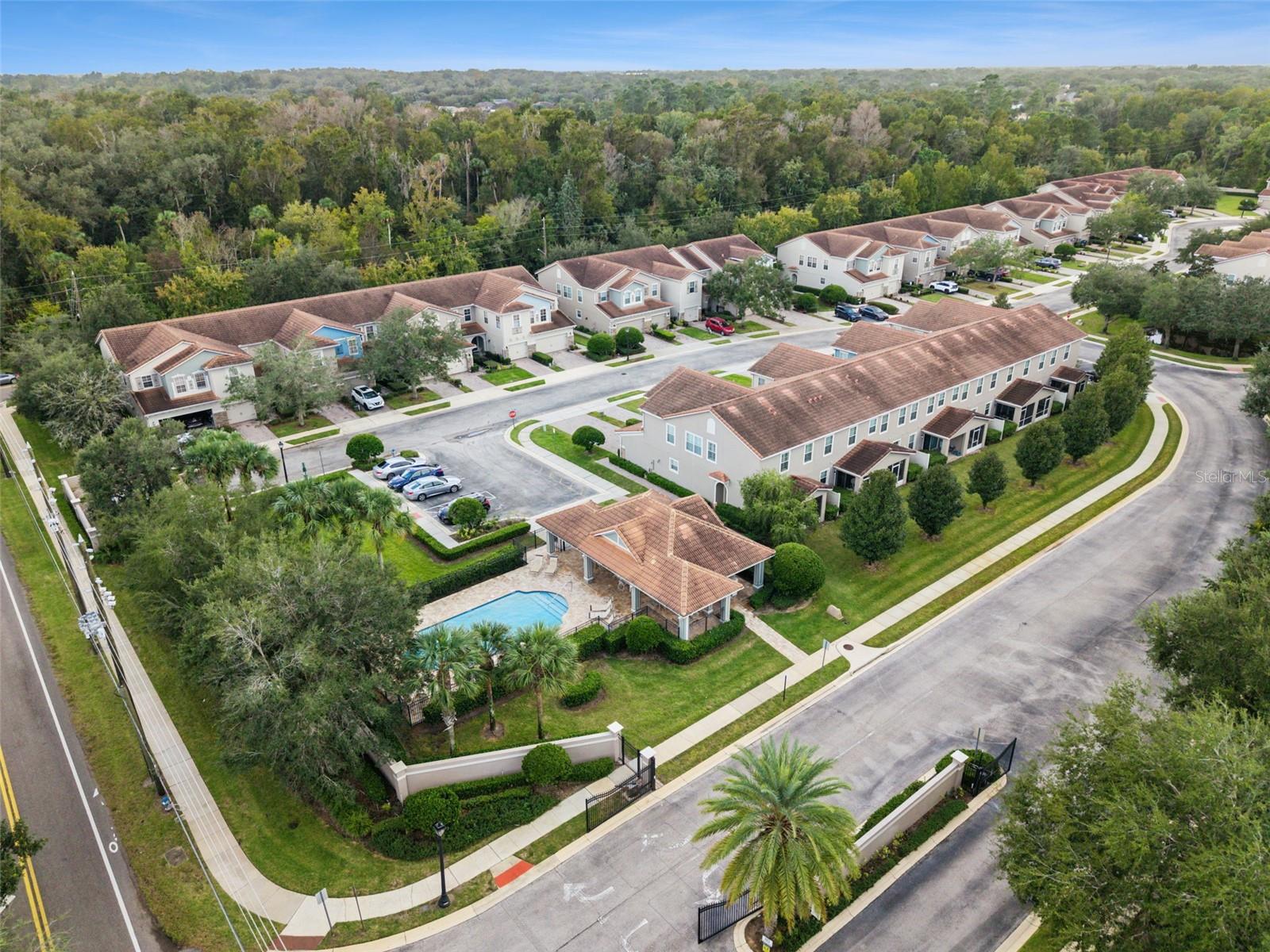 31 CANTERBURY BELL DR