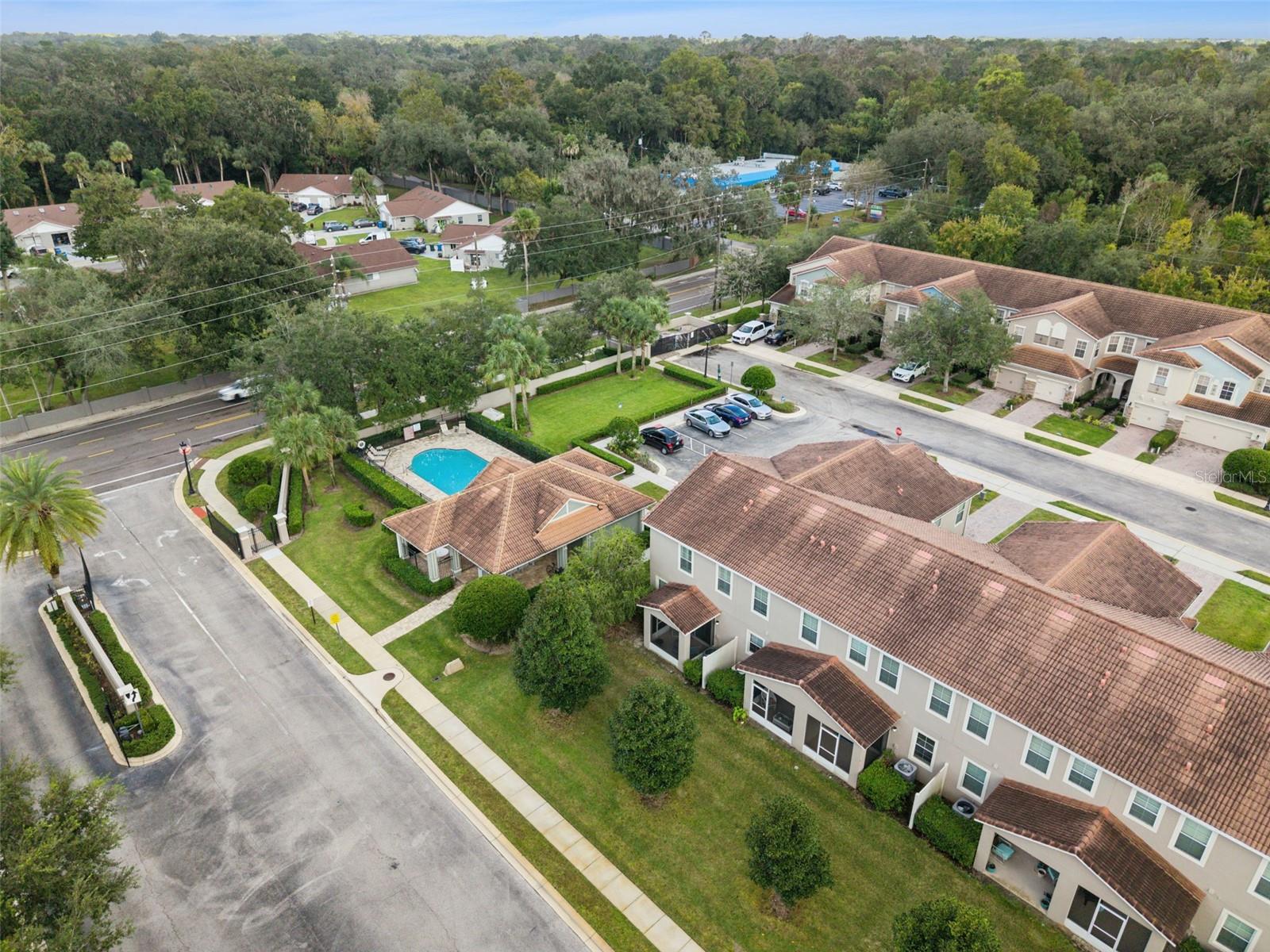 31 CANTERBURY BELL DR