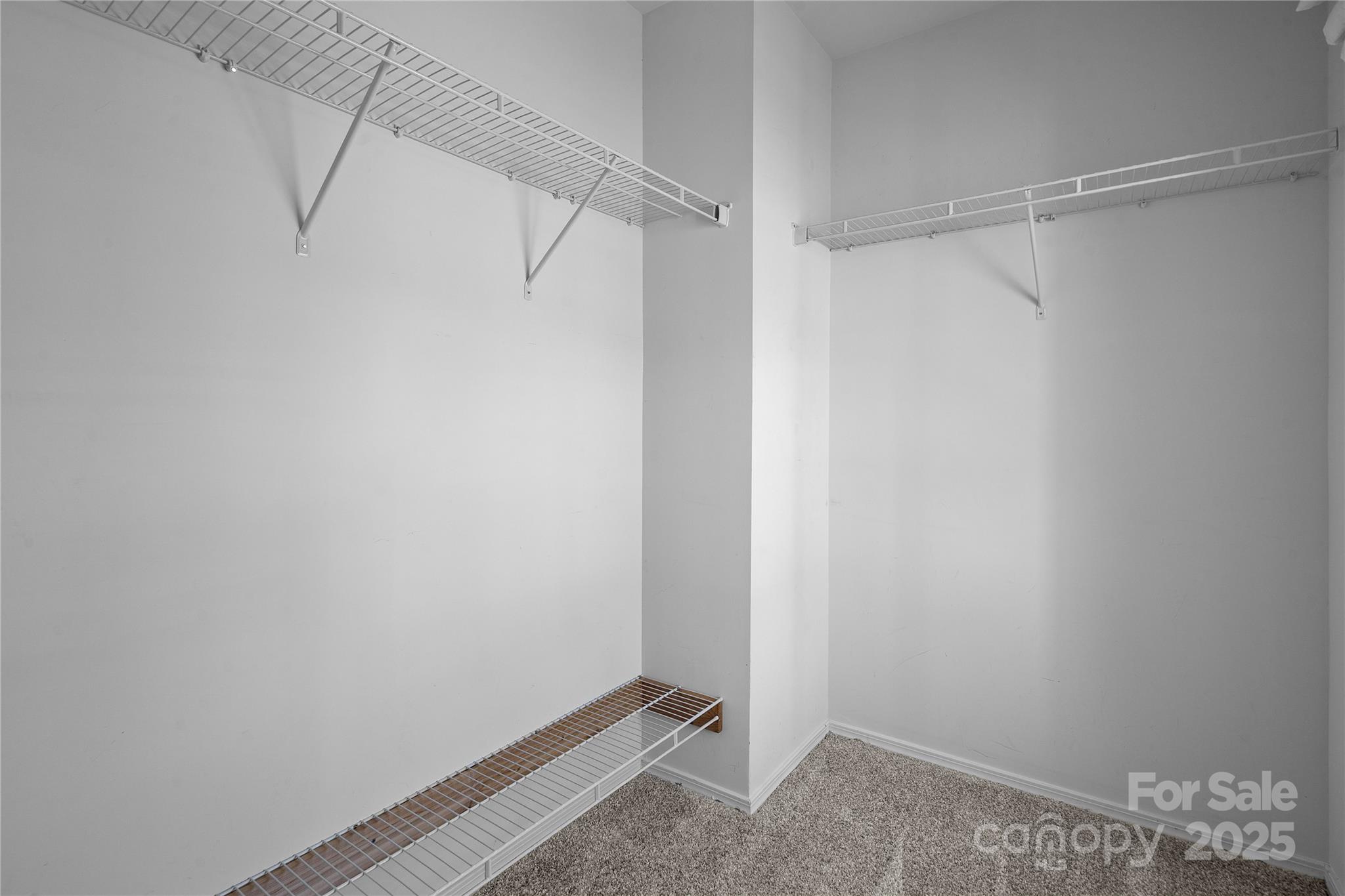 1000 Sweetgum Street