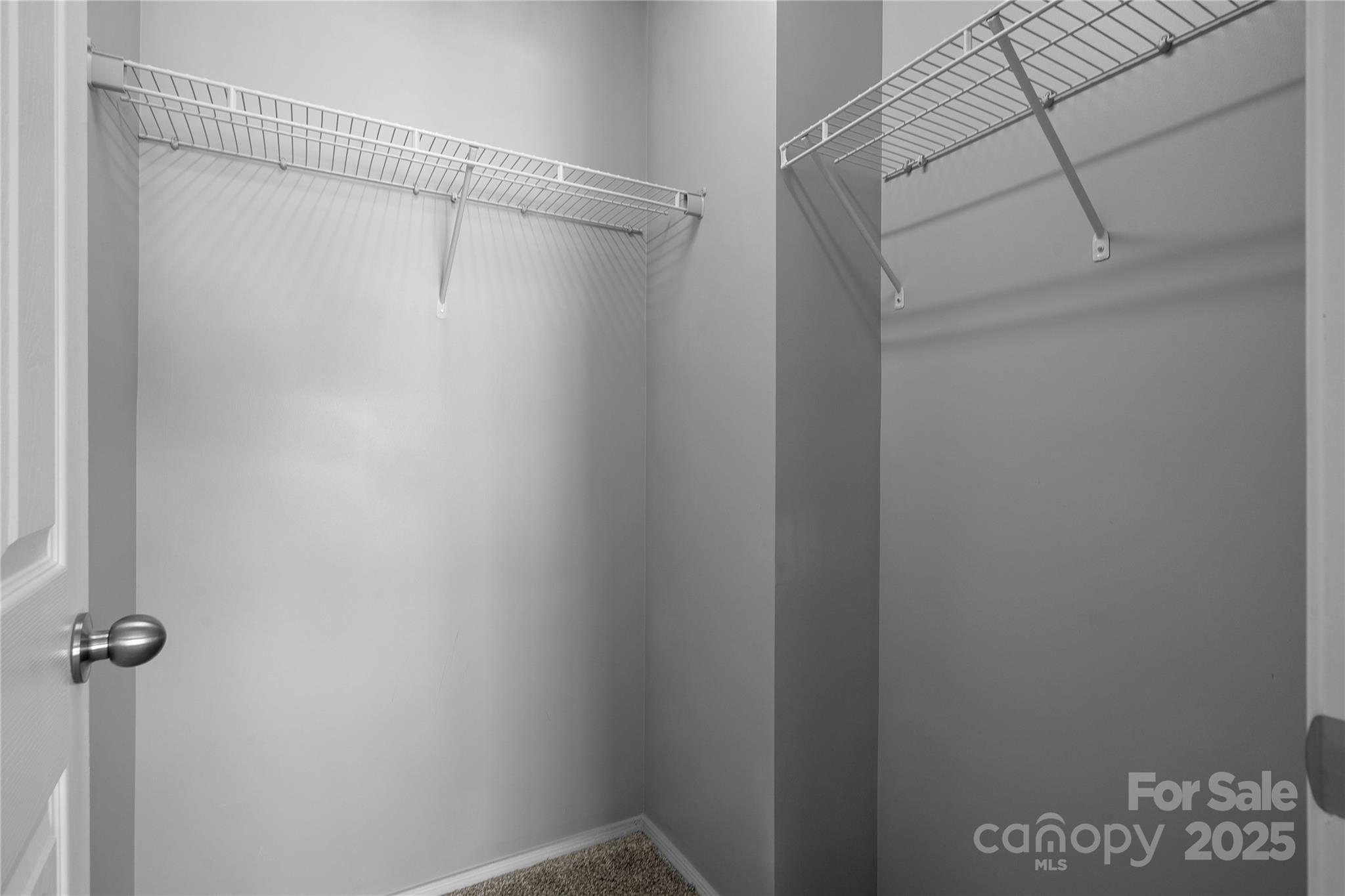 1000 Sweetgum Street