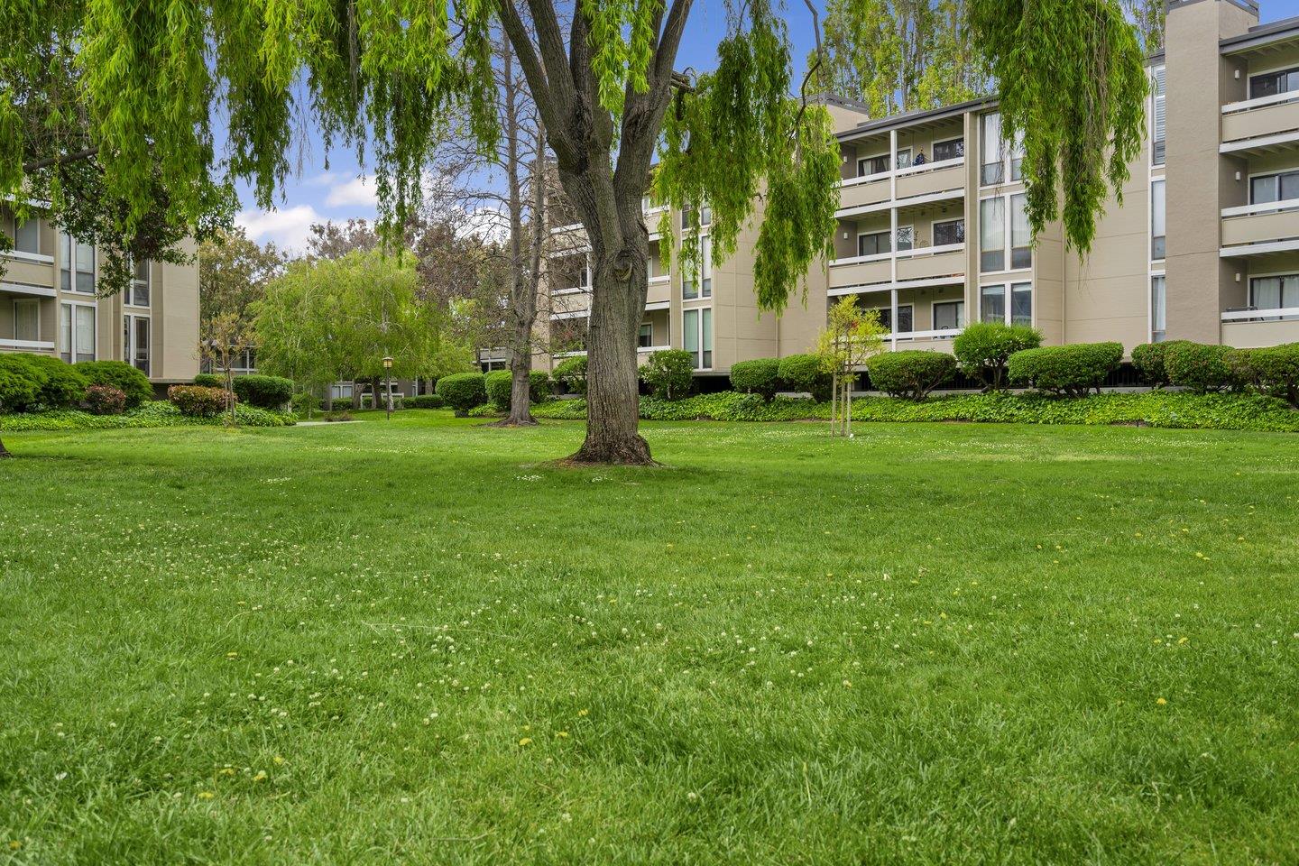 1081 Beach Park BLVD 111