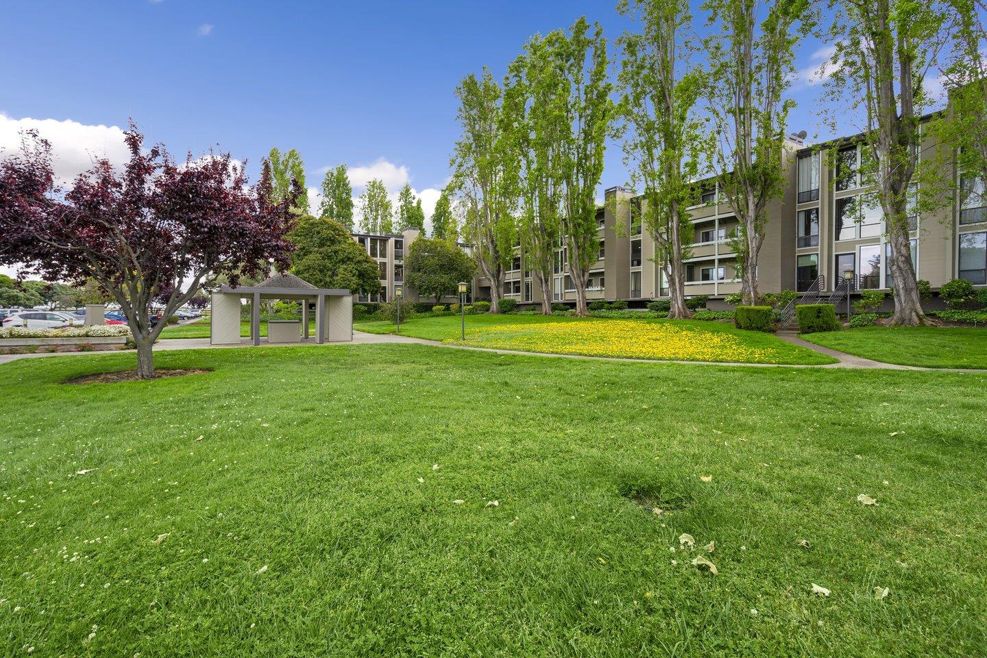 1081 Beach Park BLVD 111