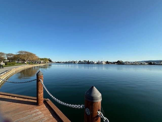 1089 Foster Square LN 204