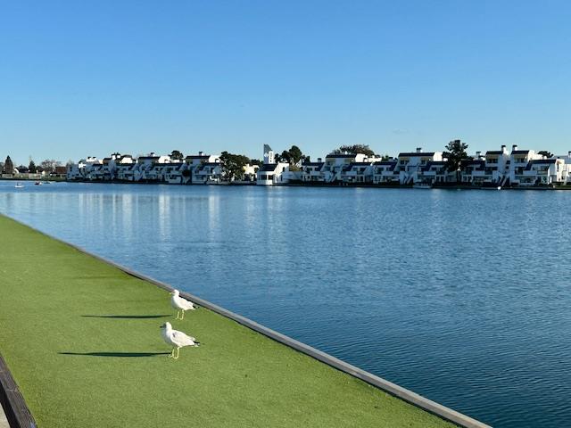 1089 Foster Square LN 204