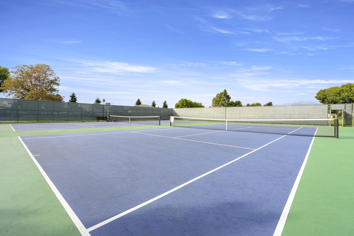 667 Sandy Hook Court