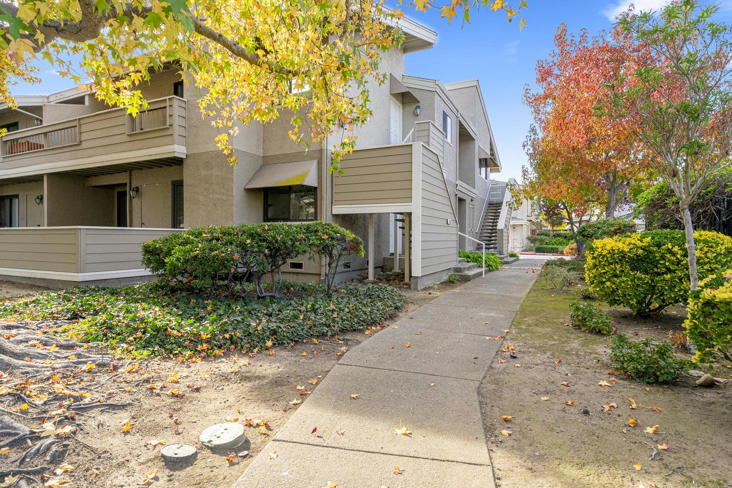 141 Albacore Lane