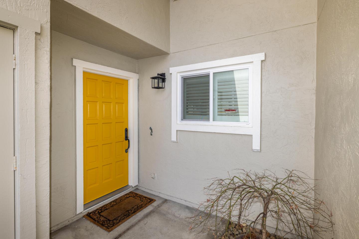 662 Draco Lane