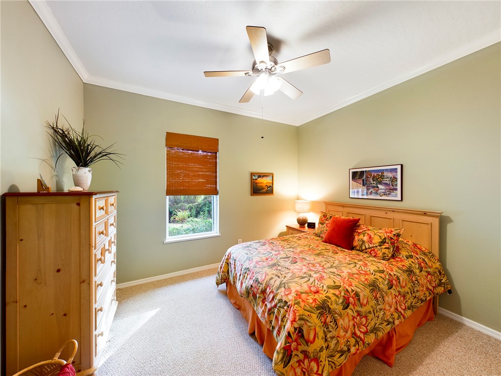 689 Brush Foot Drive