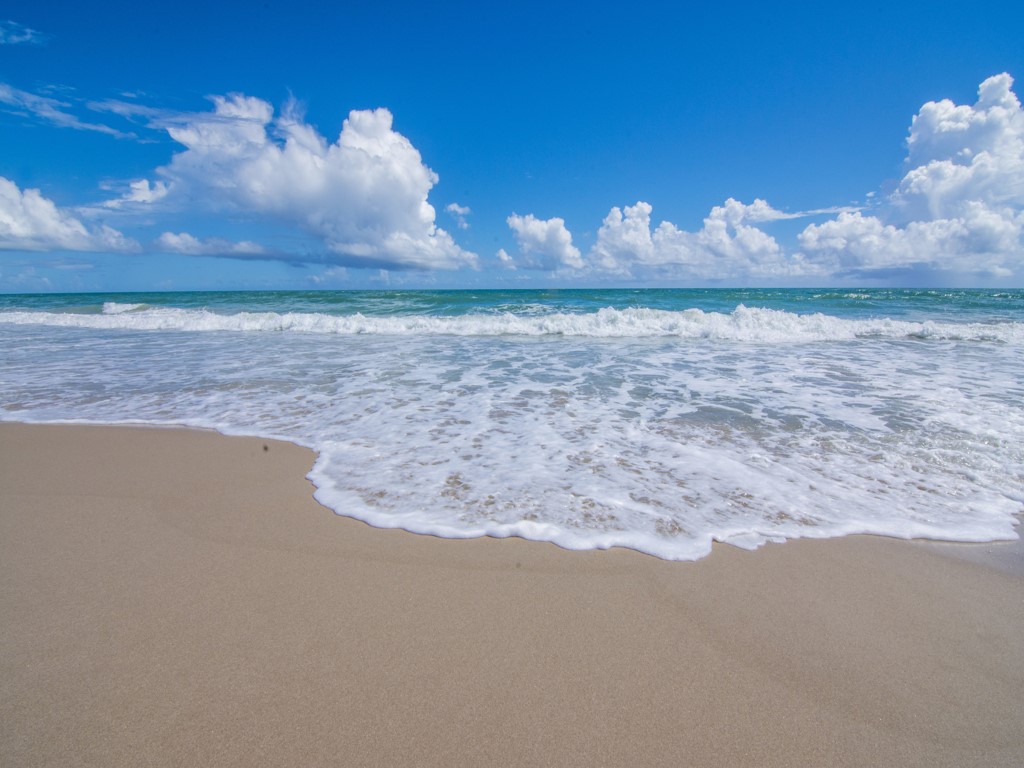 937 Turtle Cove Lane