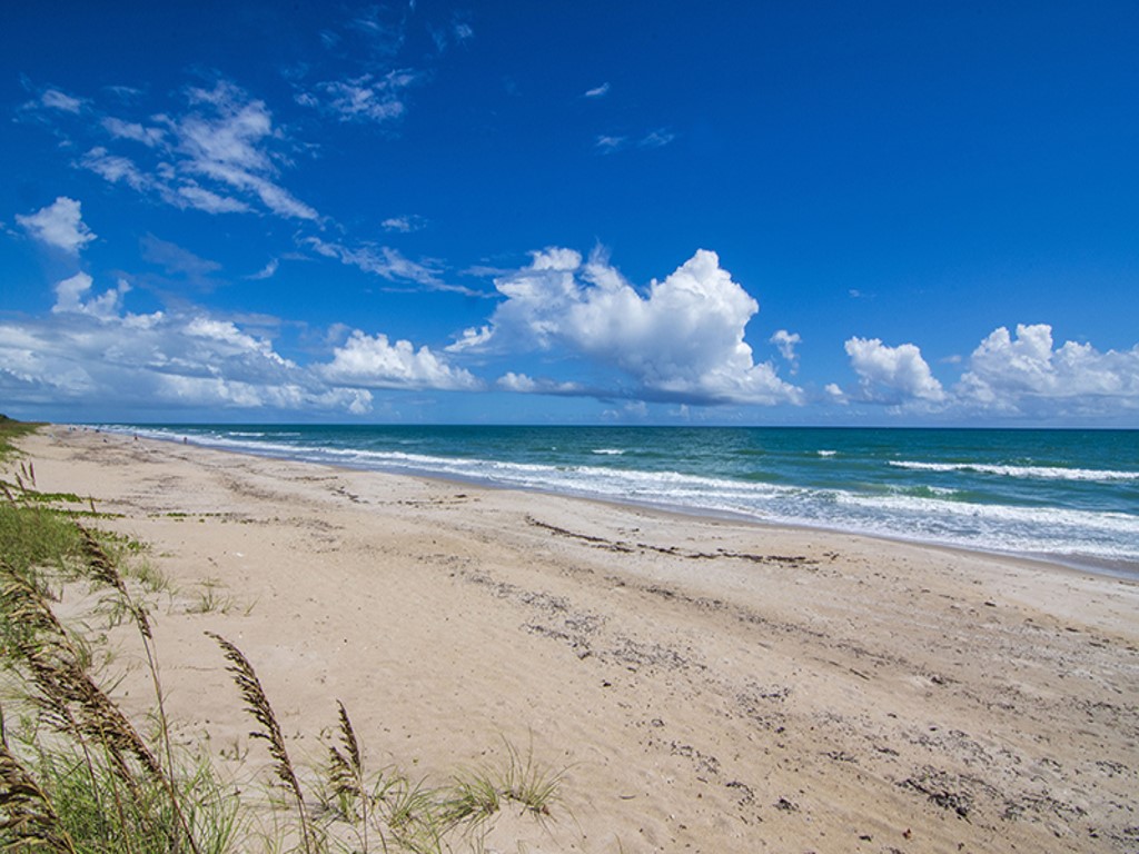 937 Turtle Cove Lane