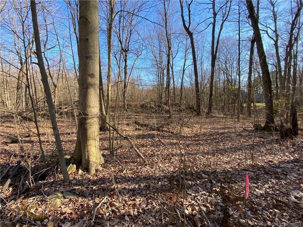 354 Thayer Pond Road
