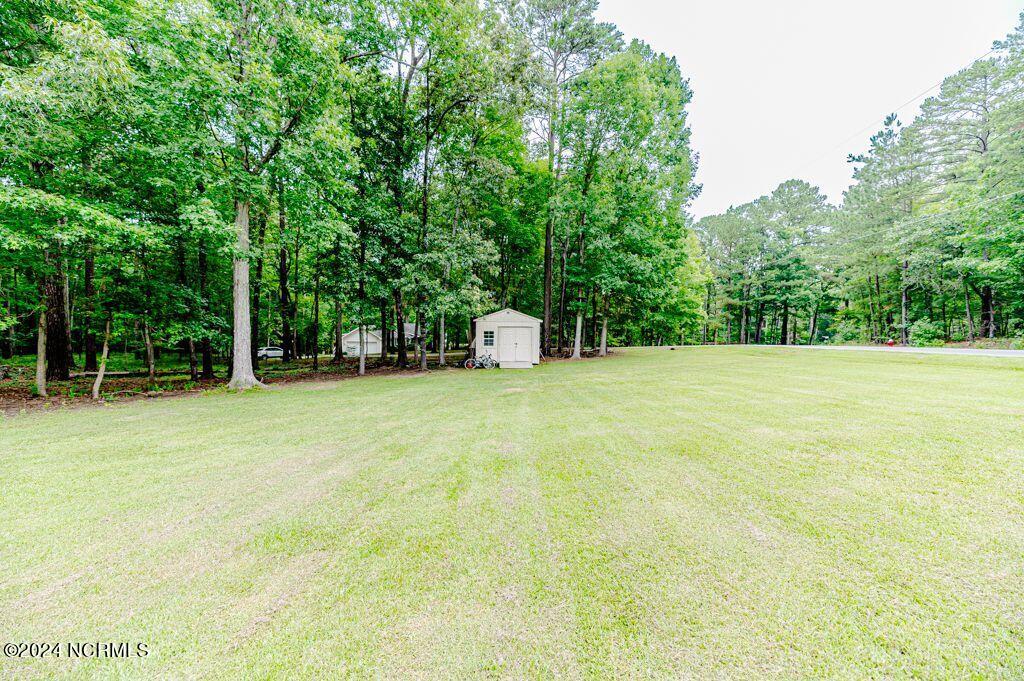 3113 Wild Forest Road