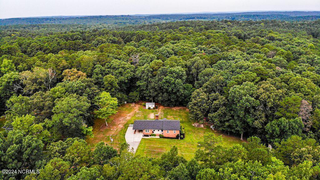 3113 Wild Forest Road