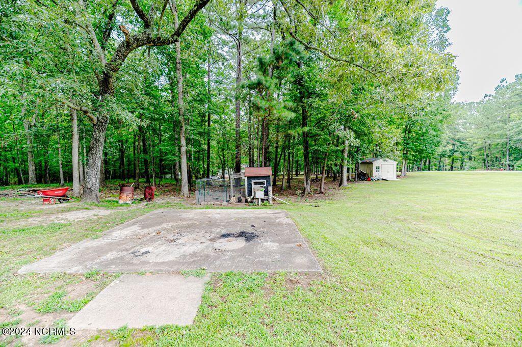 3113 Wild Forest Road