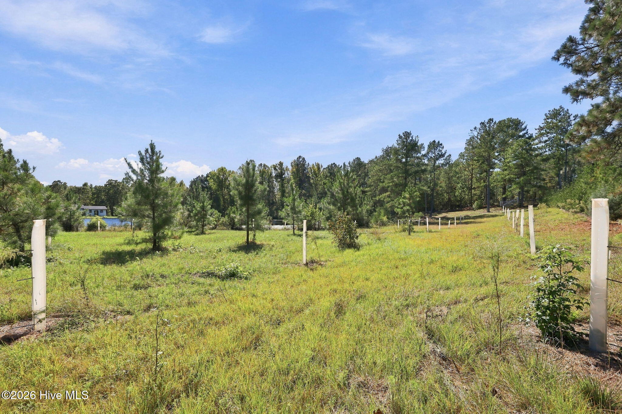 3449 Hillmon Grove Road