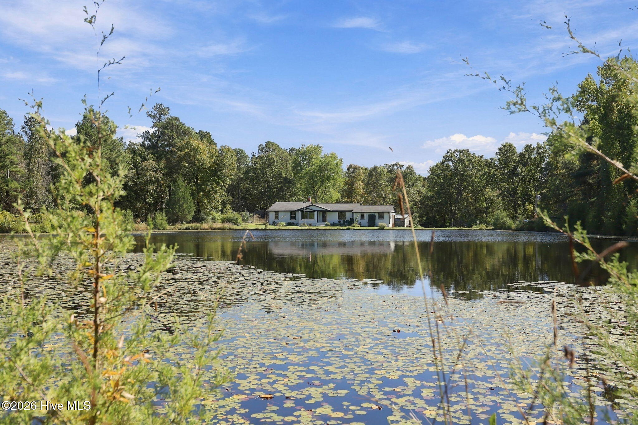 3449 Hillmon Grove Road
