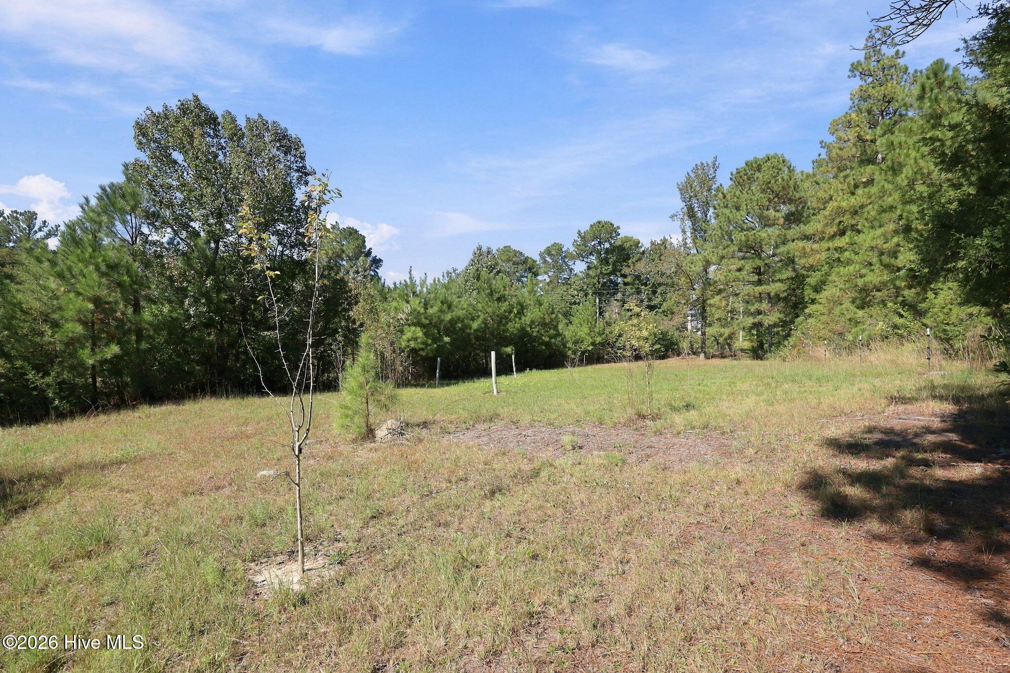 3449 Hillmon Grove Road