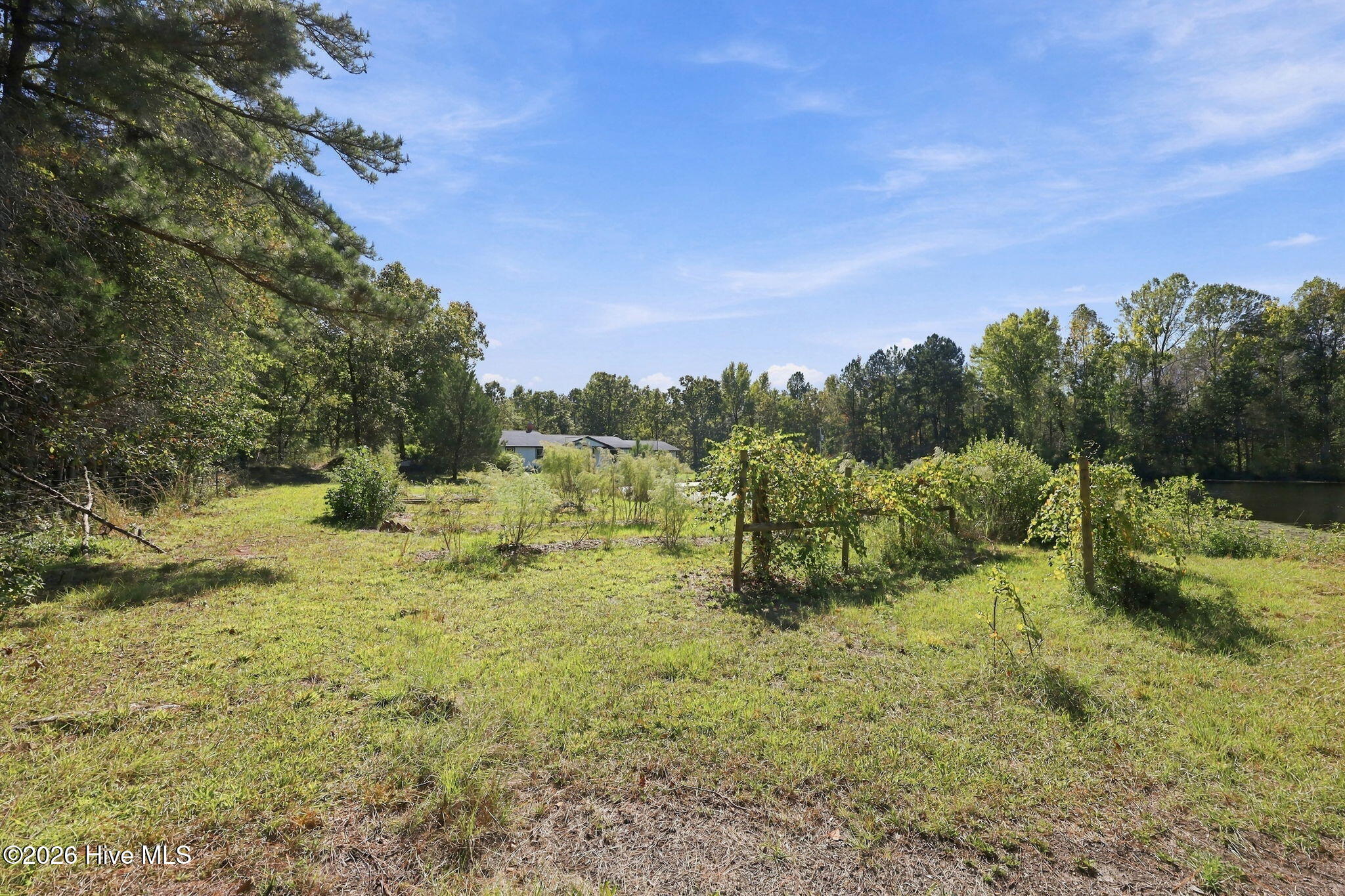 3449 Hillmon Grove Road