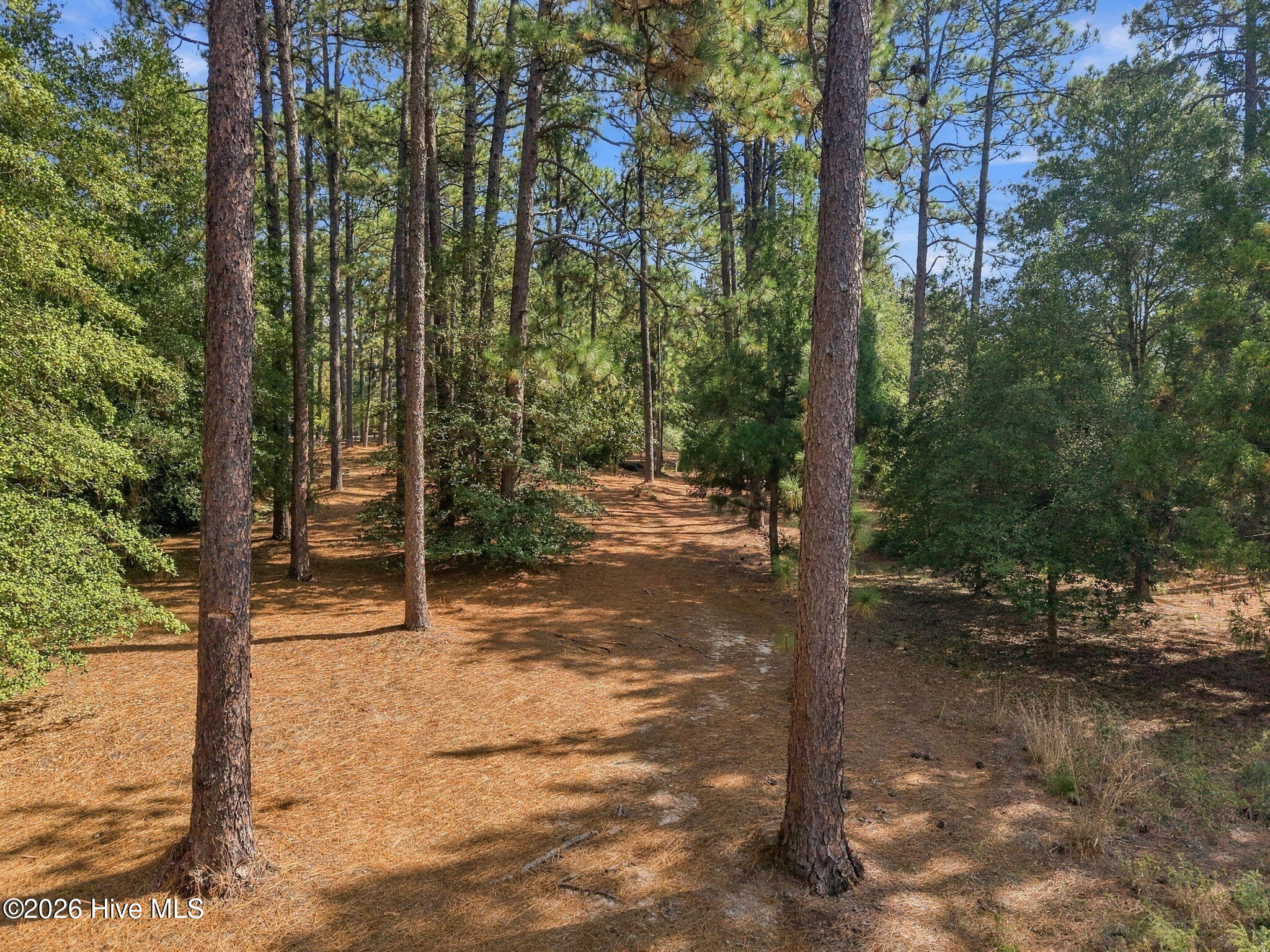 555 Donald Ross Drive