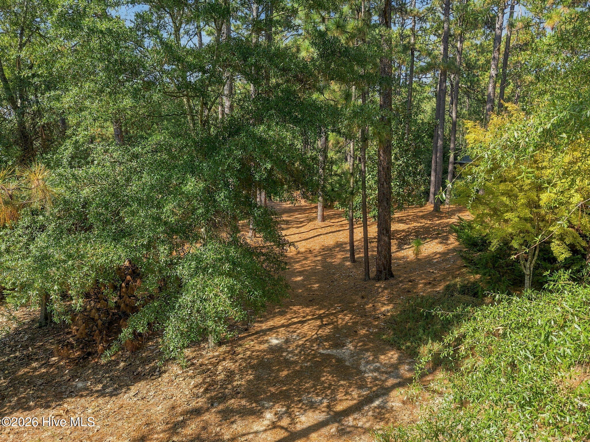 555 Donald Ross Drive